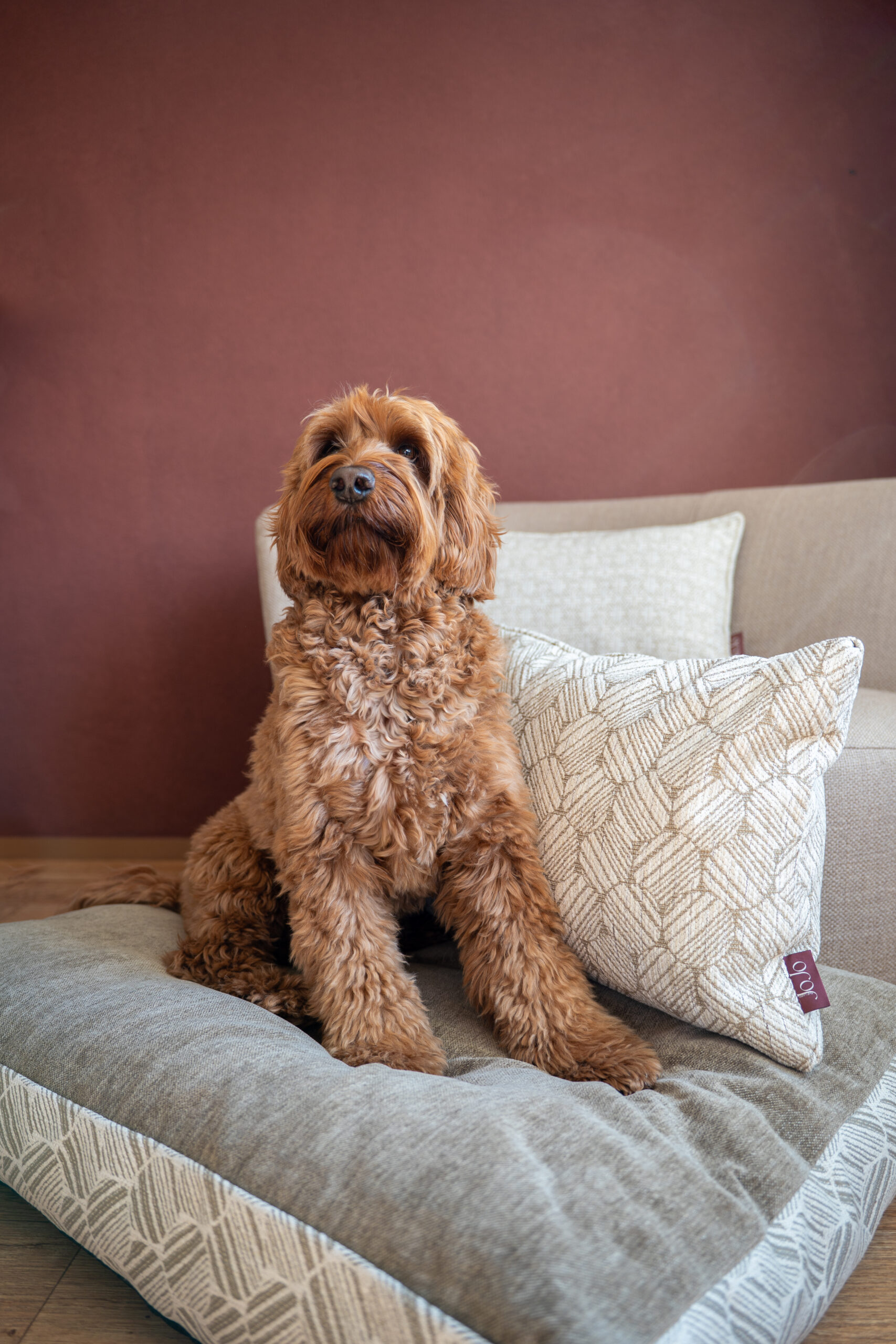 Bundel Graphic ecru - Afbeelding 3